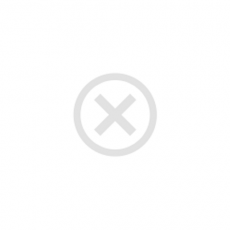 Внутренние блоки настенного типа серии SHOGUN Inverter RAM-I-SG55HP.W01/S - Климатическая техника